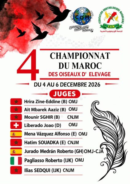 AFFICHE FR